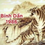 Tuổi Bính Dần 1986 Nên Xây Nhà Năm Nào? Chọn Năm Đẹp, Đón May Mắn
