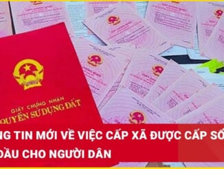 Xin Cấp Sổ Đỏ Lần Đầu Tây Ninh: Thủ Tục, Hồ Sơ Và Dịch Vụ Uy Tín Nhất Hiện Nay