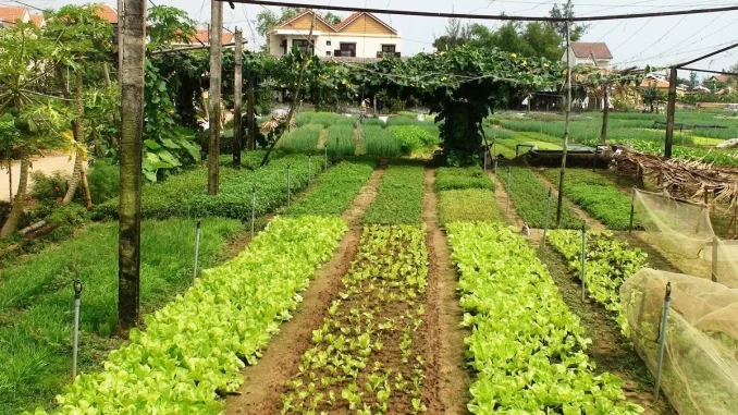HTD Dịch Vụ Hợp Thửa Đất Tại Tây Ninh – Uy Tín, Nhanh Chóng, Đáng Tin Cậy Nhất