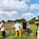 Công ty Đo đạc xã Thạnh Lợi tỉnh Tây Ninh – Giải pháp uy tín cho nhu cầu đo đạc đất đai chính xác