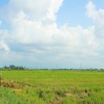 Công ty đo đạc xã Tân Hòa tỉnh Tây Ninh – Giải pháp đo đạc cho mọi nhu cầu Công ty đo đạc xã Tân Hòa tỉnh Tây Ninh – Giải pháp đo đạc cho mọi nhu cầu